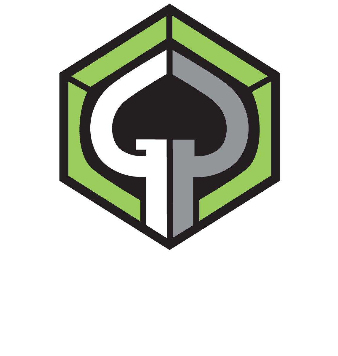 Geisler Capital Partners